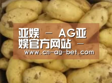 产品展示标题6