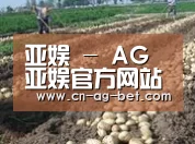种植基地八