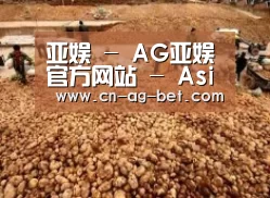 种植基地二
